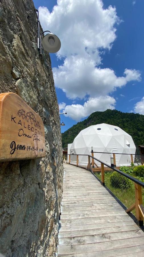 Kaledome Orman Evleri Hotel Camlihemsin ภายนอก รูปภาพ